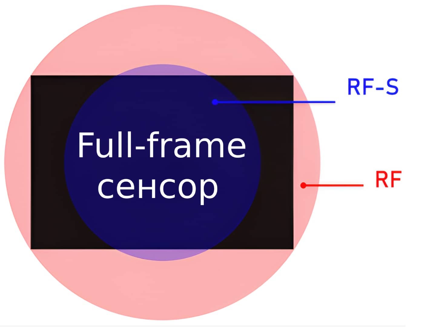 RF и RF-S объективы на камере с Full-frame сенсором