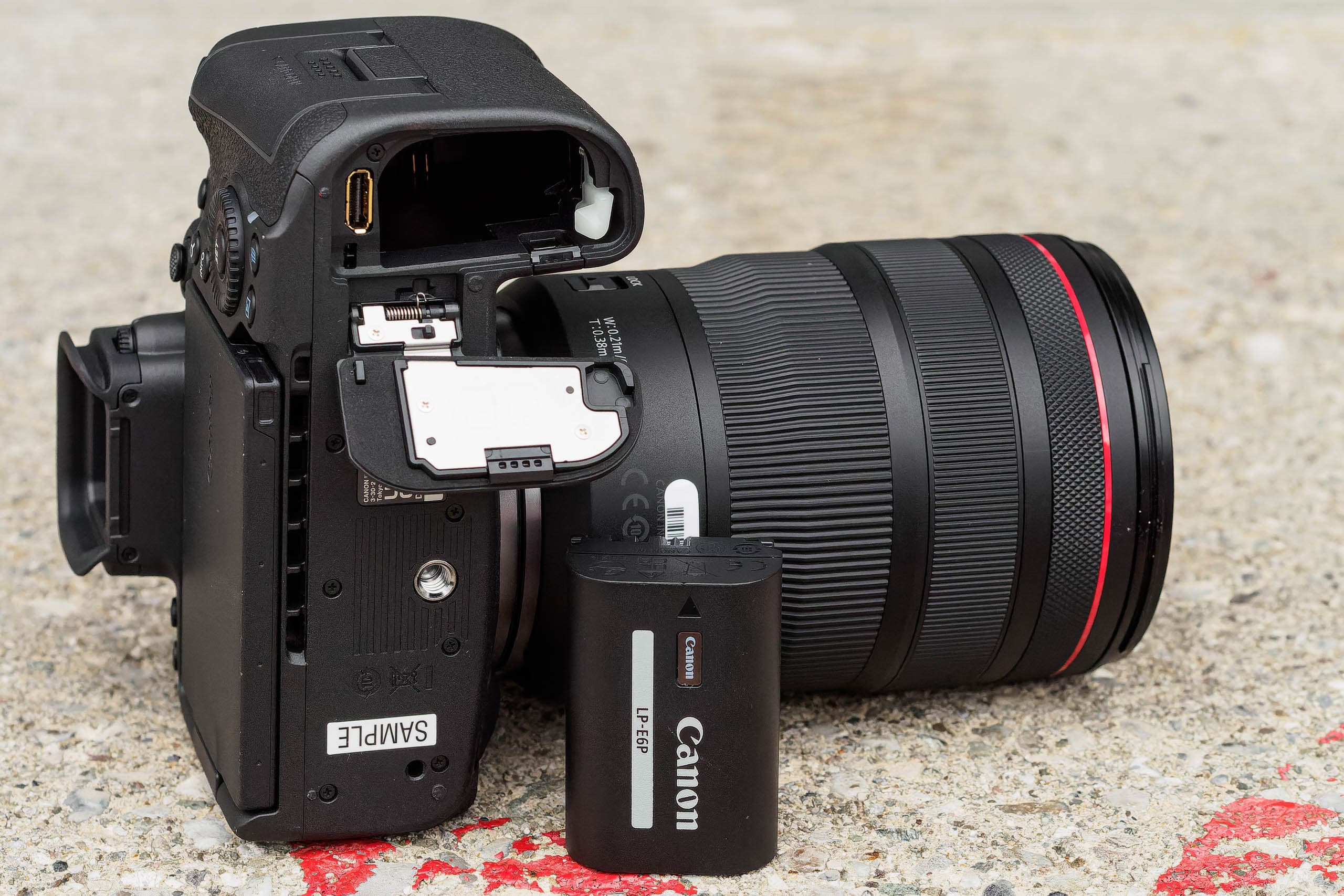 Обзор Canon EOS R5 Mark 2, фотография 2