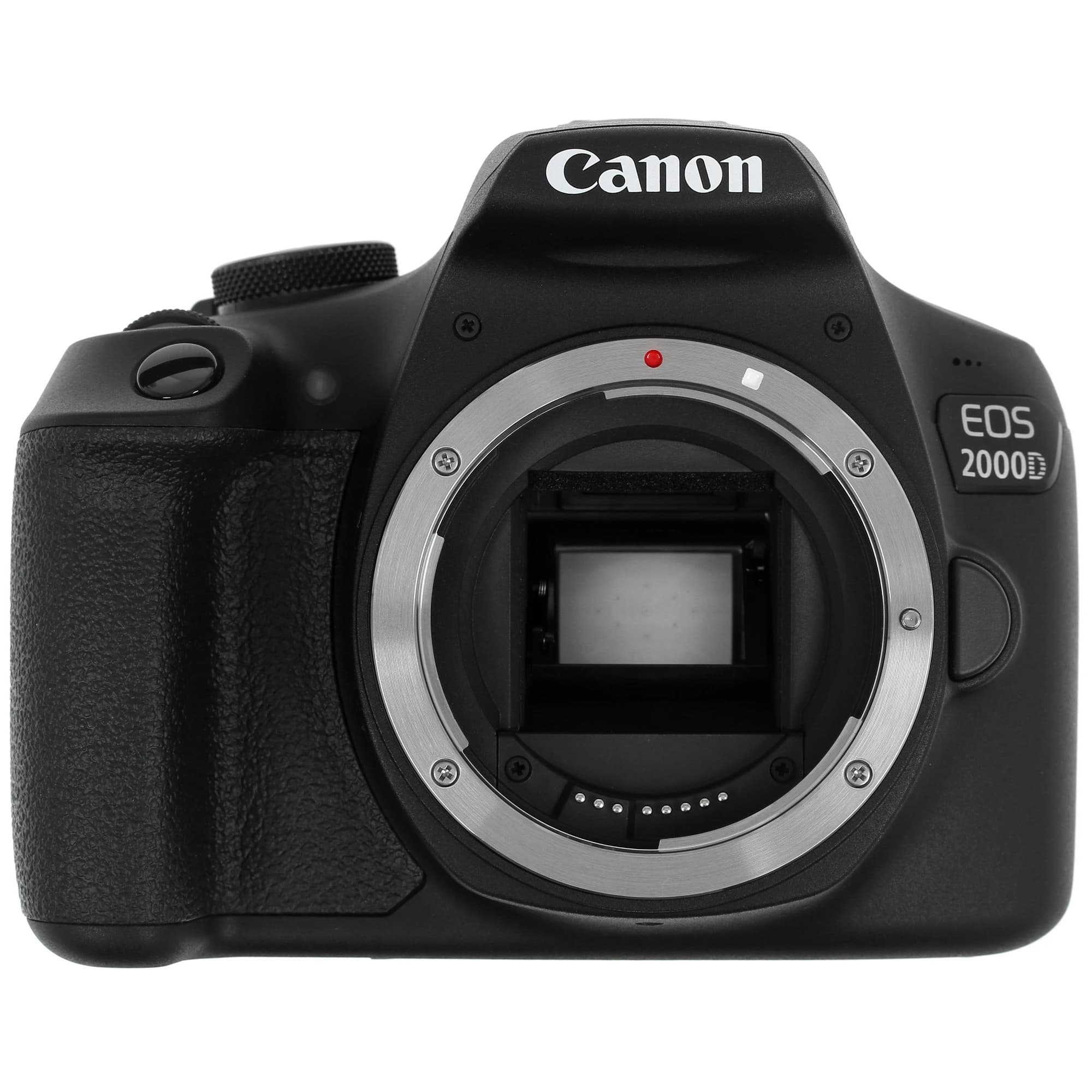 Canon EOS 2000D - лучший фотоаппарат для начинающего фотографа