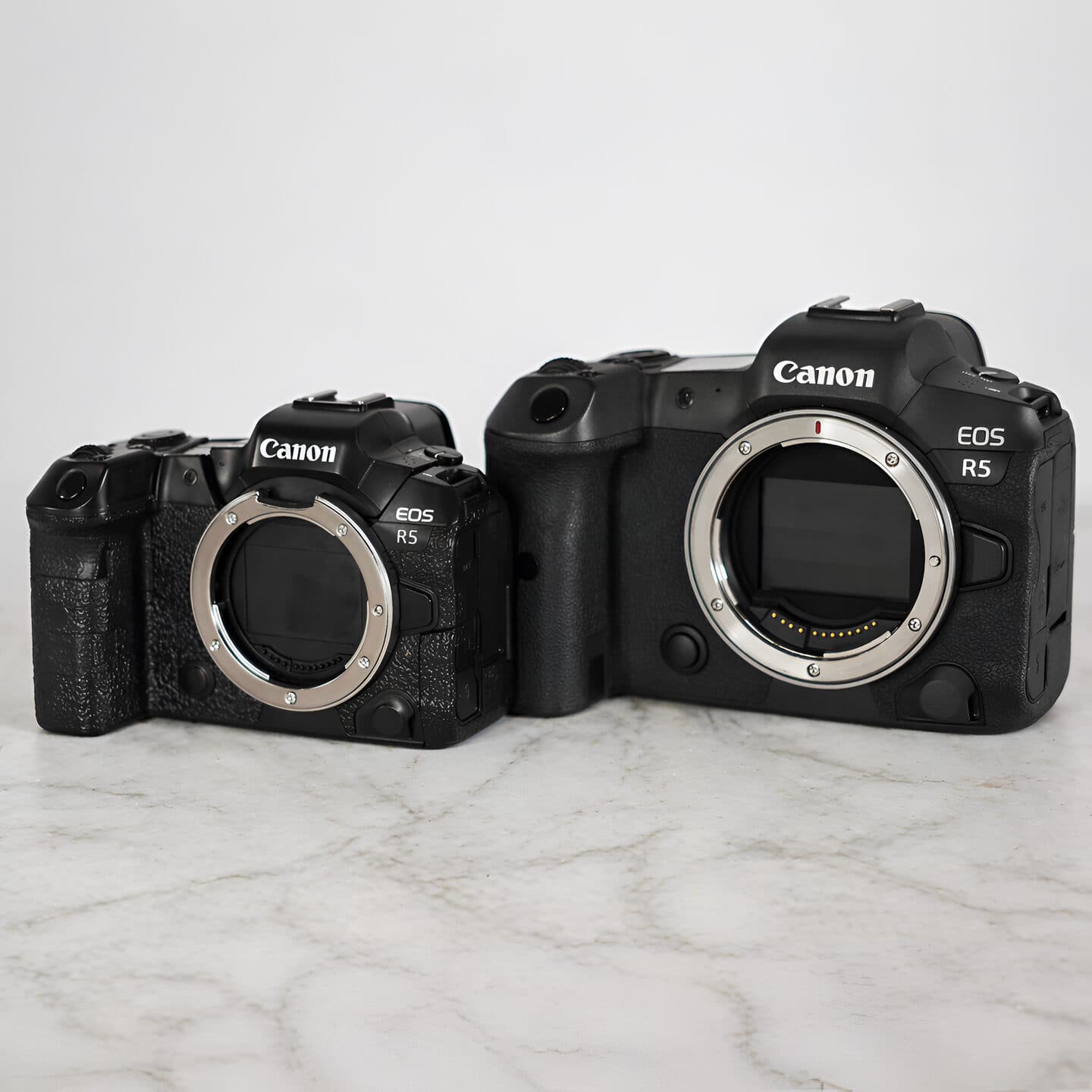 Наглядное сравнение трансформер EOS R5 в масштабе 80% от оригинала