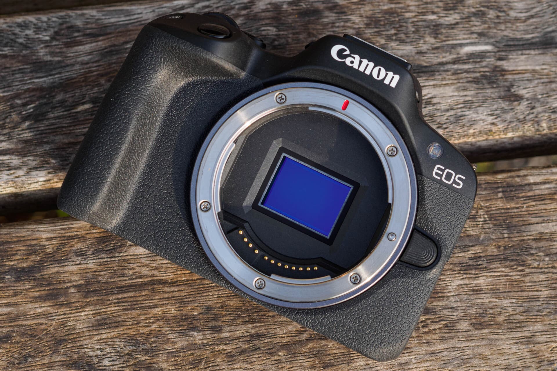 Canon выпустила EOS R50