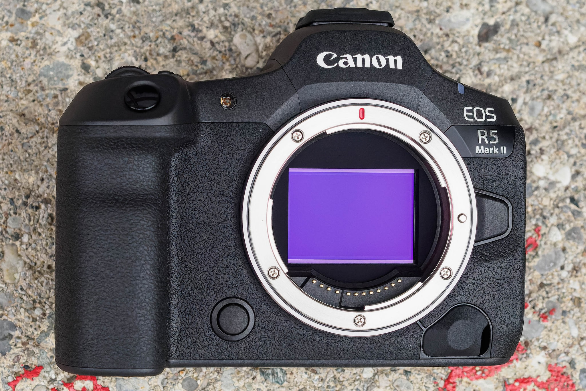 EOS R5 Mark 2 Обзор