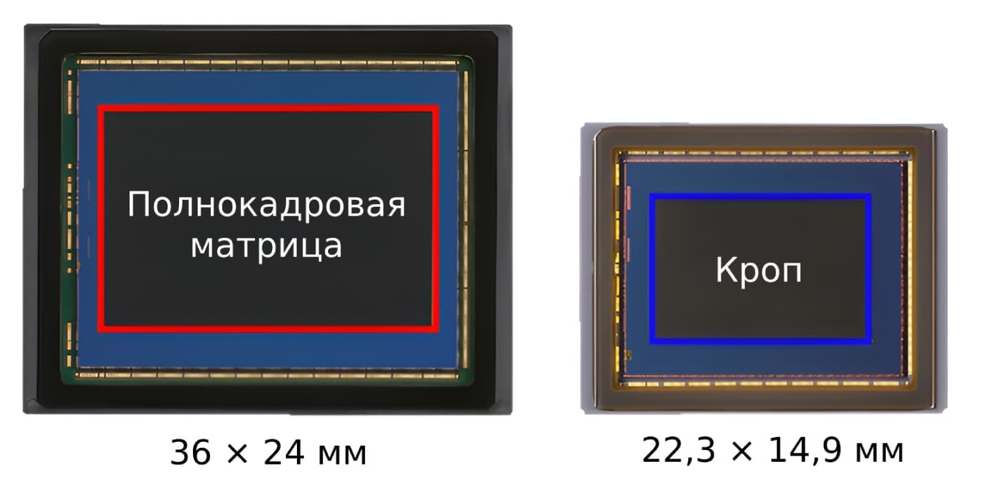 Разница в размерах Full-frame сенсора и APS-C